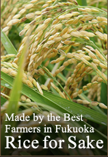 Made by the Best Farmers in Fukuoka - Rice for Sake