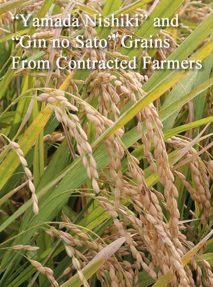 'Yamada Nishiki' and 'Gin no Sato' Grains From Contracted Farmers